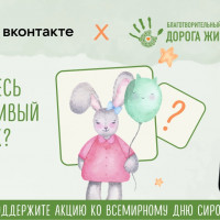 Благотворительный фонд «Дорога жизни» ко Всемирному дню сирот запустил мини-приложение ВКонтакте