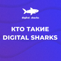 Digital Sharks: чем занимаемся