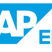 SAP ушел, но бизнес продолжил работать