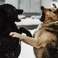Как проверить добросовестность контрагента?