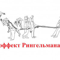 Эффект Рингельмана: когда больше не значит лучше