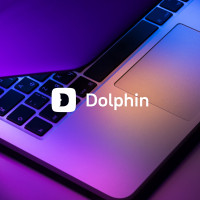 Как объединить несколько IT-продуктов в одной айдентике: Кейс Dolphin