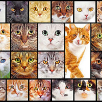 Магазин электроники. Как мы раскрутили бренд питерской цифровой техники или 4 способа сделать из питерского кота всероссийского тигра