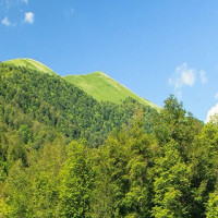 Недвижимость. Разработка сайта. Как мы увеличили число покупателей для кампании Дома у реки