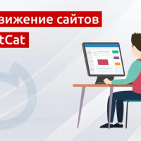 Продвижение сайтов на NetCat