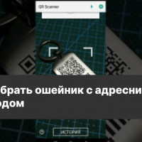 Как выбрать ошейник с адресником и QR кодом