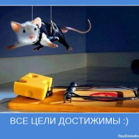 ЮНИТ – серия № 33