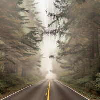 Вождение в тумане⁠⁠