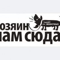 Первым делом котики