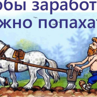 Брендодержатель, выйди в поля!