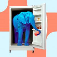 Запихать слона в холодильник: рассказываем, как эффективно строить CRM-маркетинг и увеличивать продажи