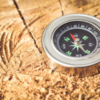 Как найти лучшего коуча