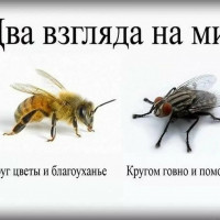 Научись отвечать за свои слова