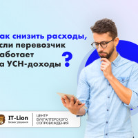 Как снизить расходы, если перевозчик работает на УСН-доходы?