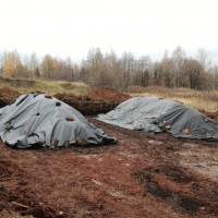 Ученые Пермского Политеха доказали эффективность метода полевого компостирования старой коры и древесных отходов
