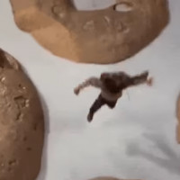 [Кейс] Настроили CRM-систему и систему мотивации для молочной фермы. На 35% увеличили продажи