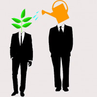 Чем отличаются между собой ментор, коуч, консультант, тренер, преподаватель, эксперт?