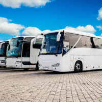 Идеальный бизнес: автобусы, аренда и ничего лишнего!