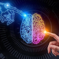 Развитие навыков в эпоху цифровой трансформации