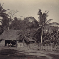 История острова Бали