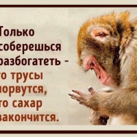 Как развенчиваются мифы о возможности разбогатеть за одну ночь работы на маркетплейсах