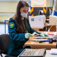 ГДТ на автомобиль: зачем и как заполнять?