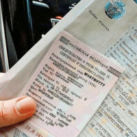 Законопроект упростил процедуру снятия автомобилей с учета