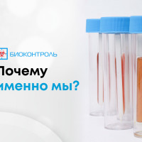 Почему именно мы?