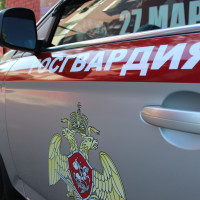 В Самаре росгвардейцы помешали посетителю гипермаркета украсть беспроводной пылесос