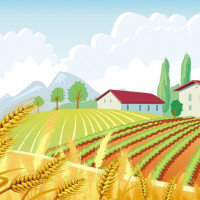 Сельскохозяйственные машины и техника: развитие и будущее