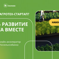 Россельхозбанк и «Сколково» поддержат студентов в создании инновационных продуктов для сельского хозяйства