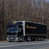 «Деловые Линии»: грузопоток в страны ближнего зарубежья растет ежемесячно на 10%