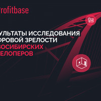 Цифровизация за МКАДом: исследования сайтов застройщиков Новосибирской области