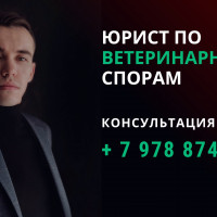 Некачественные ветеринарные услуги, как вернуть деньги? Я расскажу что делать! - юрист по ветеринарным спорам Симферополь, Крым