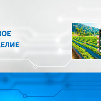 Цифровое земледелие