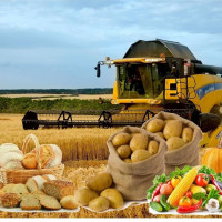 Производство фермерских продуктов