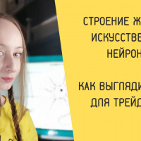 Как должен выглядеть нейрон в нейросети для трейдинга?