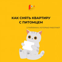 Как снять квартиру с питомцем?