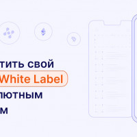 Как запустить свой бизнес с DeFi White Label криптовалютным кошельком
