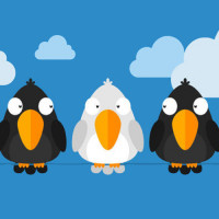 Чем «белая ворона» отличается от нонконформиста