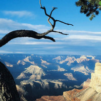 Как не должно быть: проблемы компании, которые можно определить даже «на глаз»