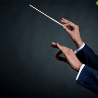 Власть фасилитатора: какие навыки фасилитации помогут в обычной жизни