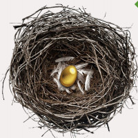 Геймификация – синоним развития