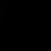 Письма счастья от Сержа Фокаса Одунлами