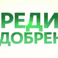 Автоматизированное кредитование: скорость рассмотрения и критерии одобрения заявки