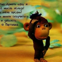 Бизнес-администрирование – что это?