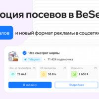 Революция посевов в BeSeed! Каталог каналов и новый формат рекламы в Telegram, ВК и ОК