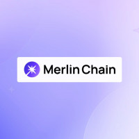 Что такое сеть Мерлина?