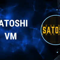Что такое СатошиВМ?