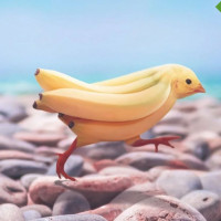 Мифы и правда о креативе